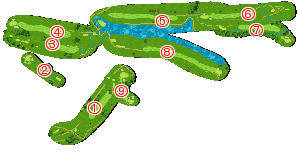 コース全体俯瞰図