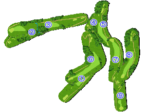 コース全体俯瞰図