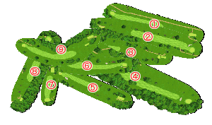 コース全体俯瞰図