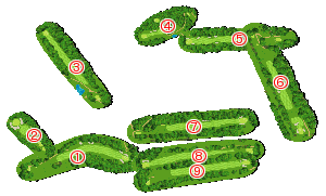 コース全体俯瞰図
