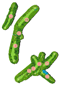 コース全体俯瞰図
