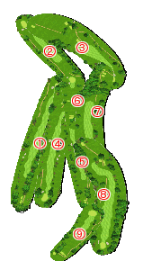 コース全体俯瞰図