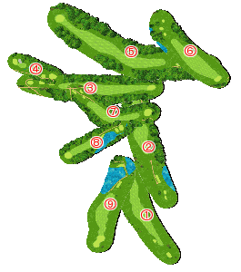 コース全体俯瞰図