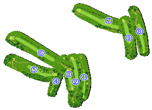 コース全体俯瞰図