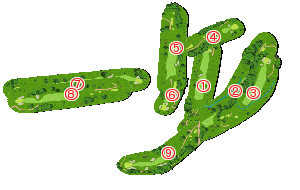 コース全体俯瞰図