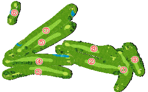 コース全体俯瞰図