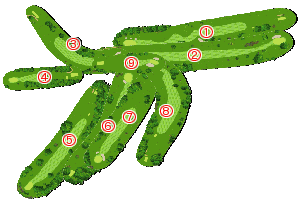 コース全体俯瞰図