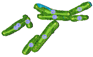 コース全体俯瞰図