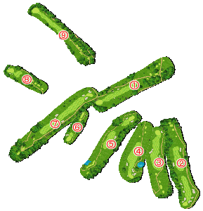 コース全体俯瞰図