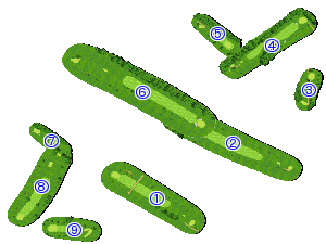 コース全体俯瞰図
