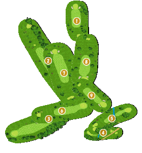 コース全体俯瞰図