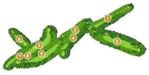 コース全体俯瞰図