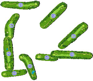 コース全体俯瞰図