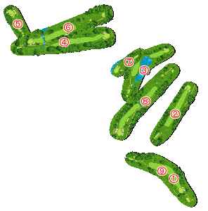 コース全体俯瞰図