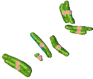 コース全体俯瞰図