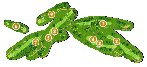 コース全体俯瞰図