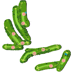 コース全体俯瞰図