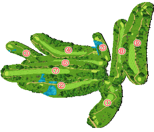 コース全体俯瞰図