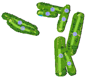 コース全体俯瞰図