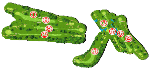 コース全体俯瞰図