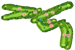 コース全体俯瞰図