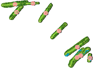 コース全体俯瞰図