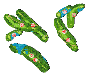 コース全体俯瞰図