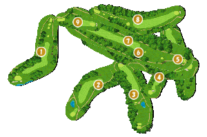 コース全体俯瞰図