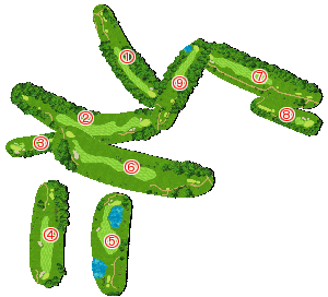 コース全体俯瞰図