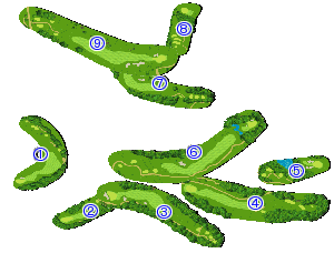 コース全体俯瞰図