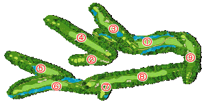 コース全体俯瞰図