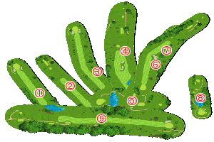 コース全体俯瞰図