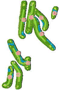 コース全体俯瞰図