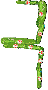 コース全体俯瞰図