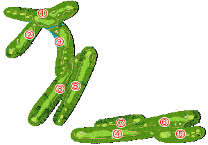 コース全体俯瞰図