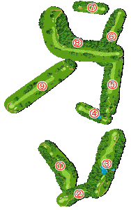 コース全体俯瞰図