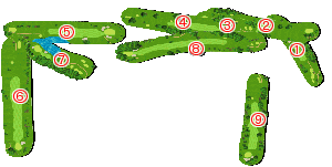 コース全体俯瞰図