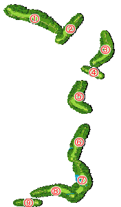 コース全体俯瞰図