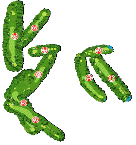 コース全体俯瞰図