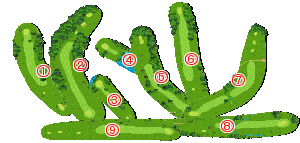 コース全体俯瞰図