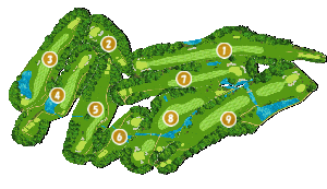 コース全体俯瞰図