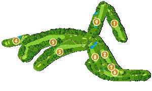 コース全体俯瞰図