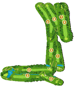 コース全体俯瞰図