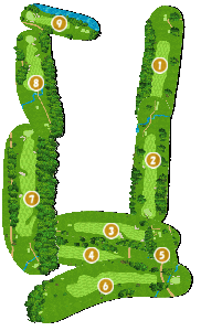 コース全体俯瞰図