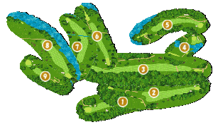 コース全体俯瞰図