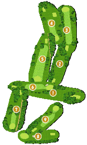 コース全体俯瞰図