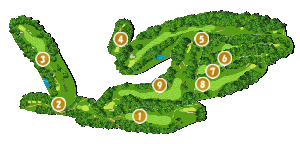 コース全体俯瞰図