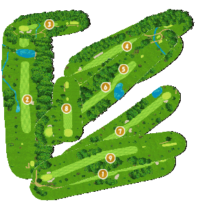 コース全体俯瞰図