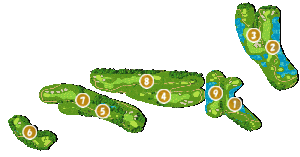 コース全体俯瞰図