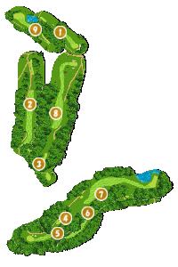 コース全体俯瞰図